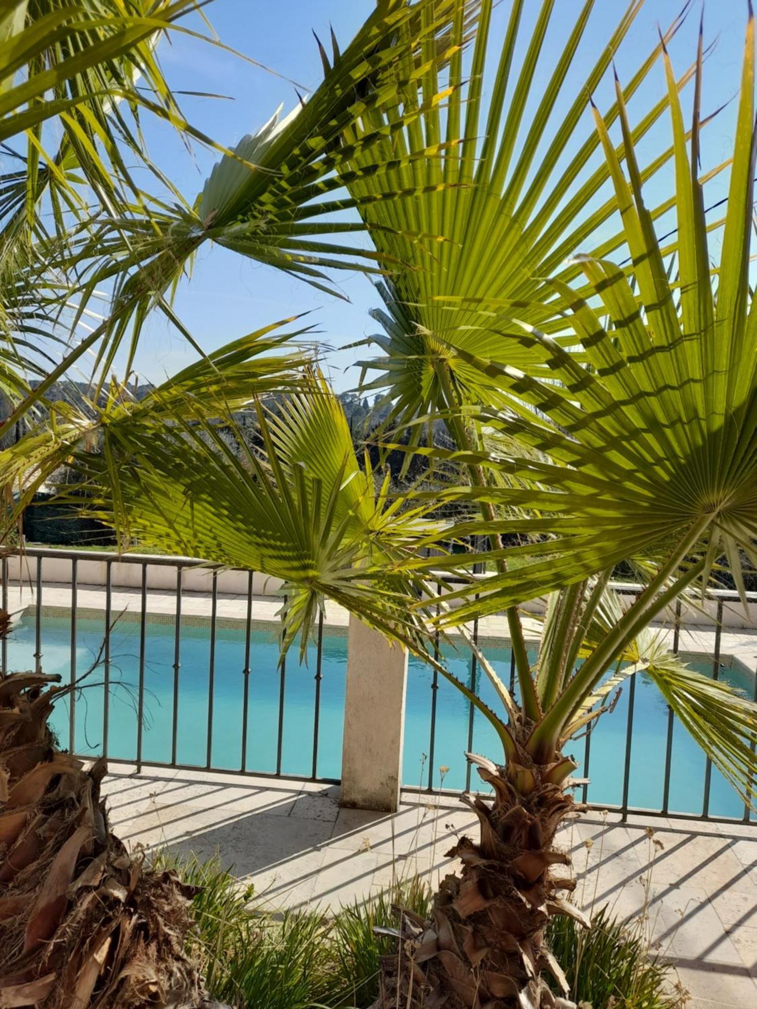 Villa Azur Lorgues Bagian luar foto