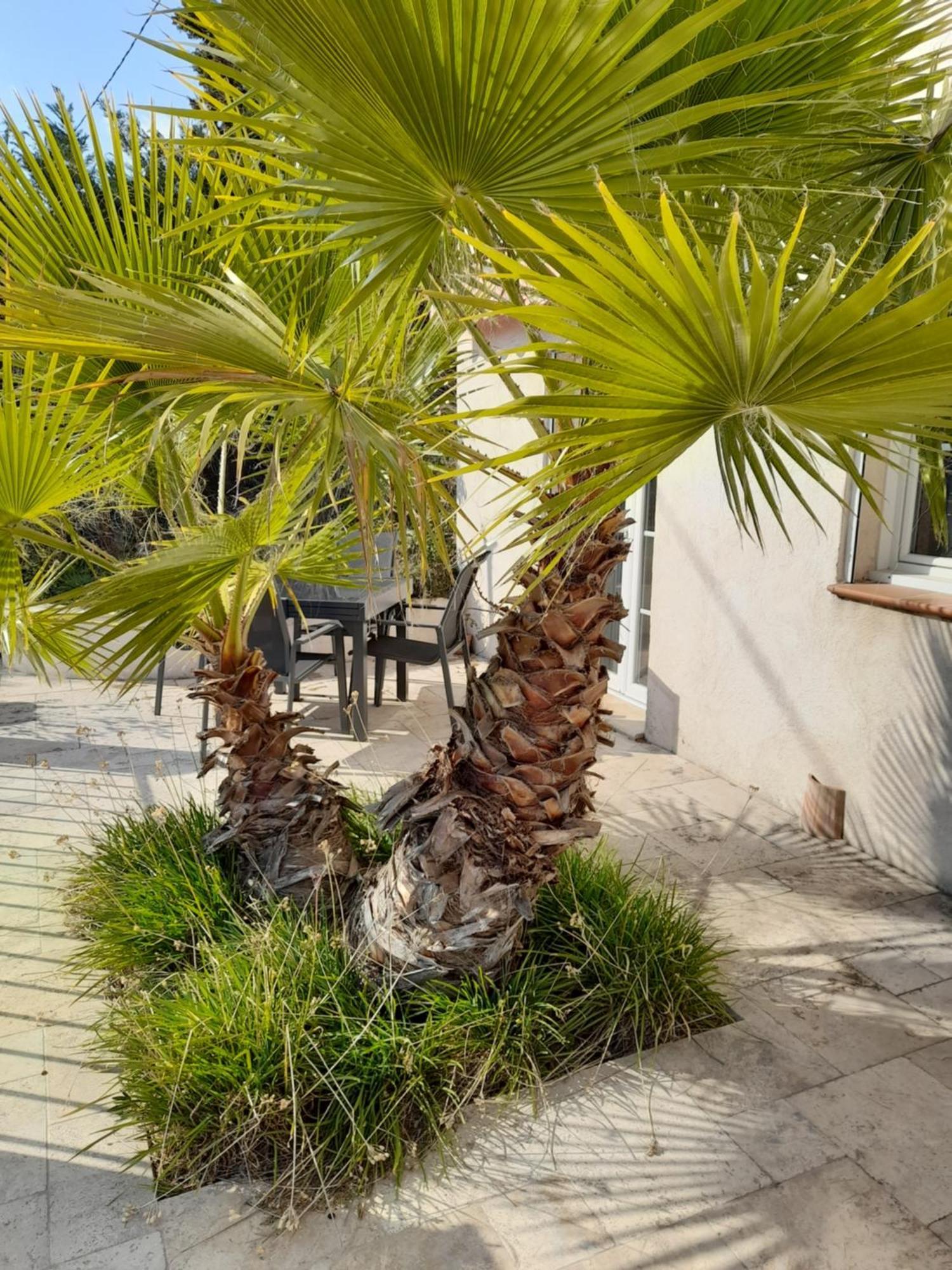 Villa Azur Lorgues Bagian luar foto
